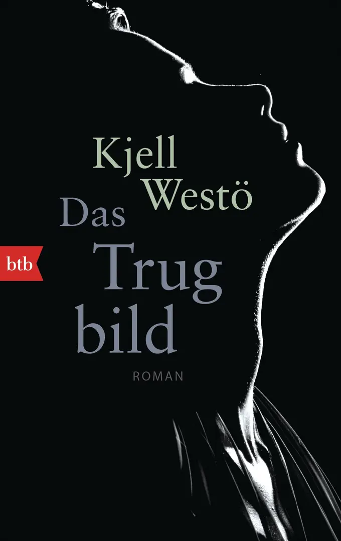 Gesellschaftsroman Bild 1