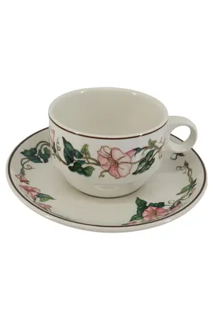 VILLEROY & BOCH Tasse und Unterteller