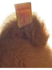 Vorschaubild 3 von Teddybär Patsy 0230/28 Kuscheltier Braun mit Knopf im Ohr