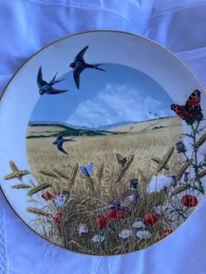 ROYAL WORCESTER Wandteller