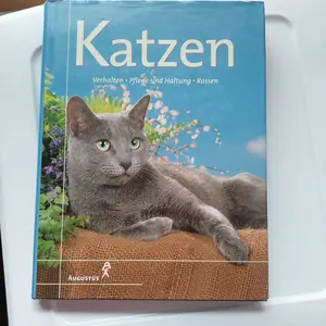 Katzenspielzeug