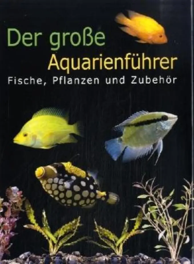 Allgemeines Sachbuch Bild 1