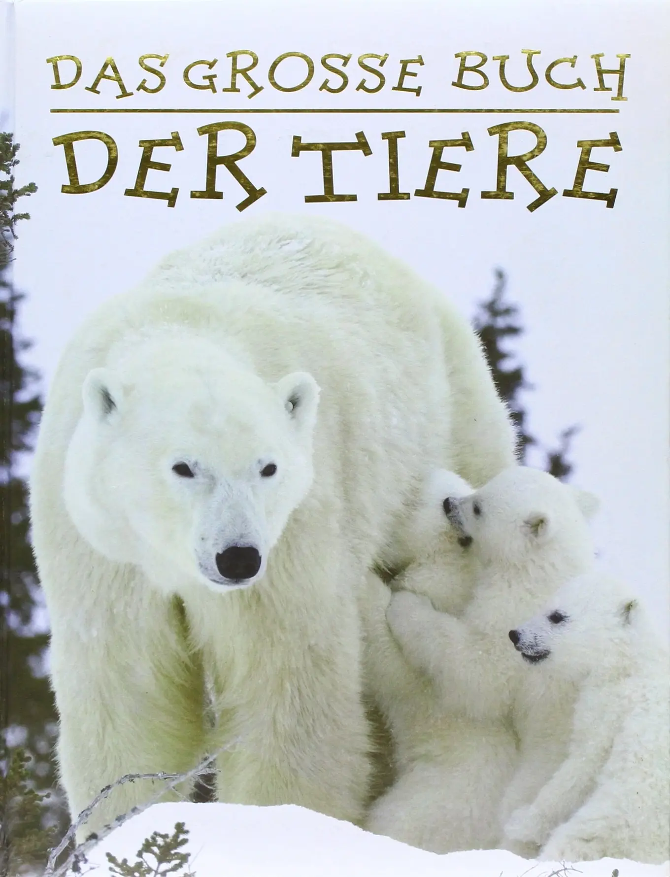 Was ist was: Das grosse Buch der Tiere Sachbuch Kinder Hardcover Deutsch