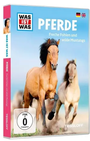 Film zum Lernen