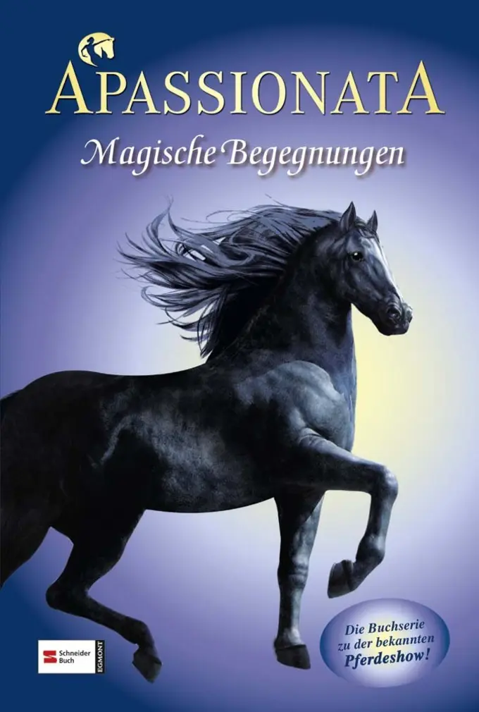 Buch für Jugendliche Bild 1