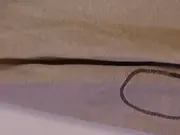 Vorschaubild 5 von Herren Kapuzenpullover Größe L Beige Casual