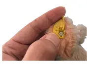 Vorschaubild 2 von Hase Plüschtier Kuscheltier Beige Nostalgisch 11cm