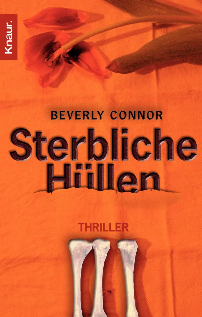 Thrillerbuch Bild 1