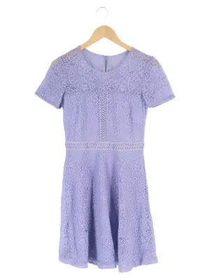 NEXT Spitzenkleid