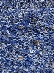 Vorschaubild 3 von EDC Damen Pullover Gr. 36/S Blau Meliert Langarm Casual Strickpullover