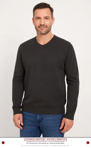 TOM TAILOR Pullover