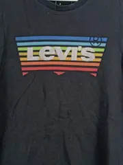 Vorschaubild 2 von Herren T-Shirt Logo Regenbogen Streifen Grau Gr. M