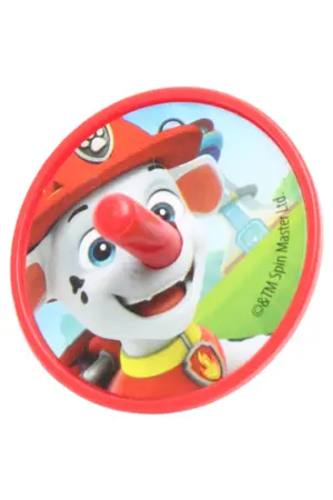 SPIN MASTER Motorikspielzeug