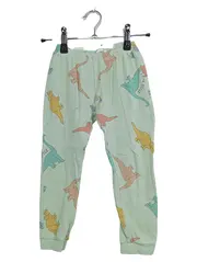 Vorschaubild 1 von Kinder Jogginghose Gr. 116 Grün Dino Print