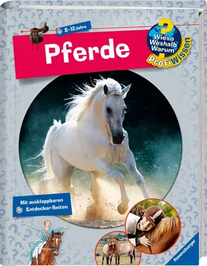 Sachbuch für Kinder