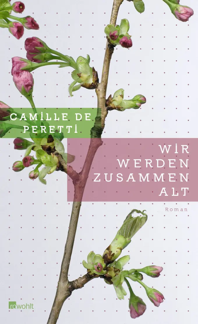 Gesellschaftsroman Bild 1