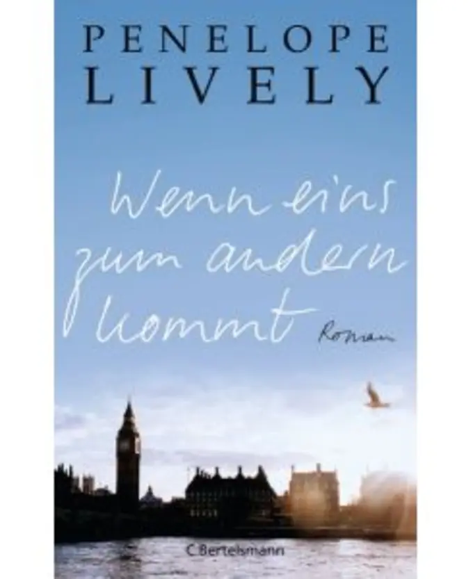 Gesellschaftsroman Bild 1