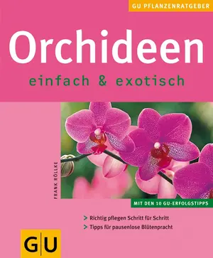 Hobbybuch