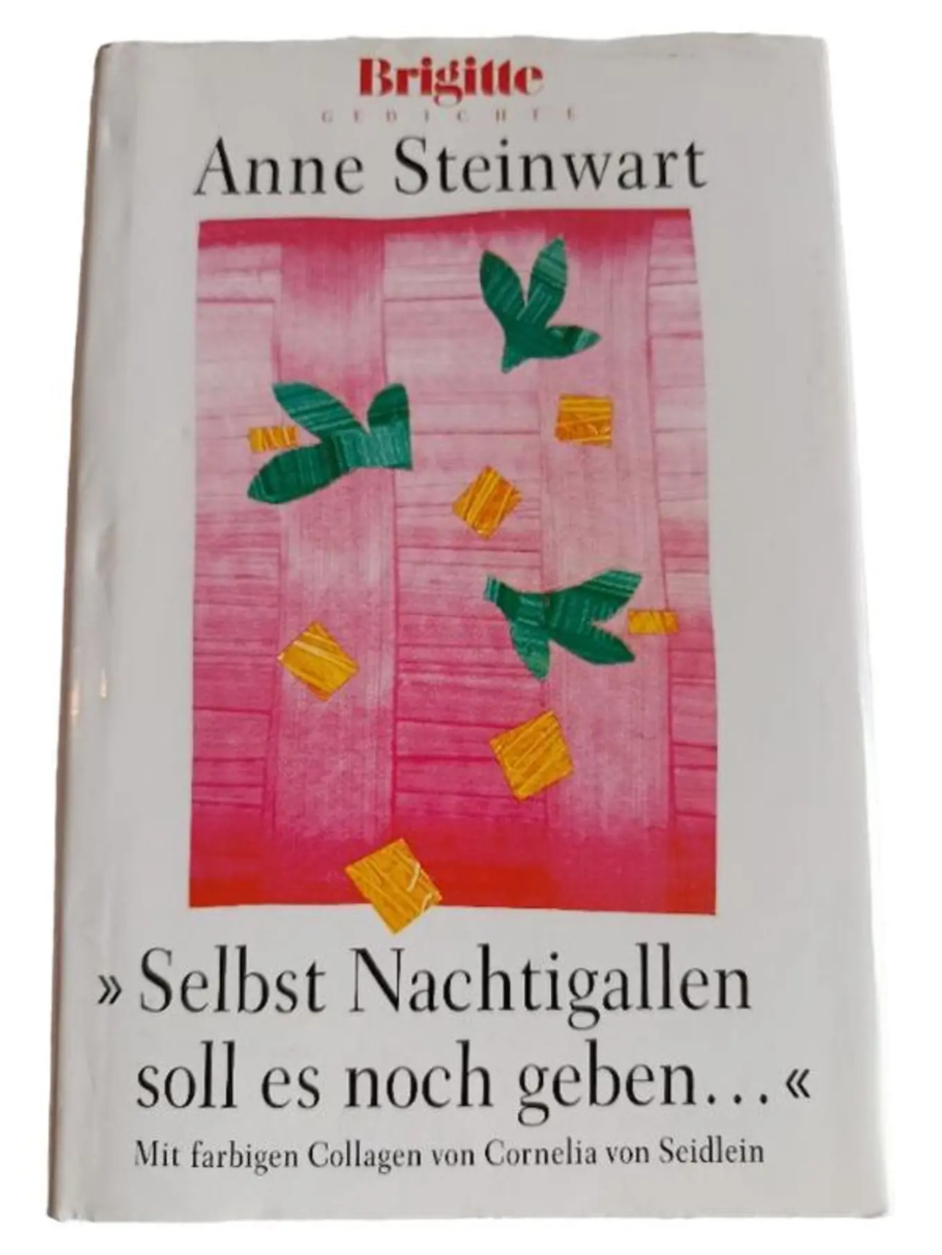 Gedichtband Lyrikbuch Nachtigallen soll es noch geben Anne Steinwart