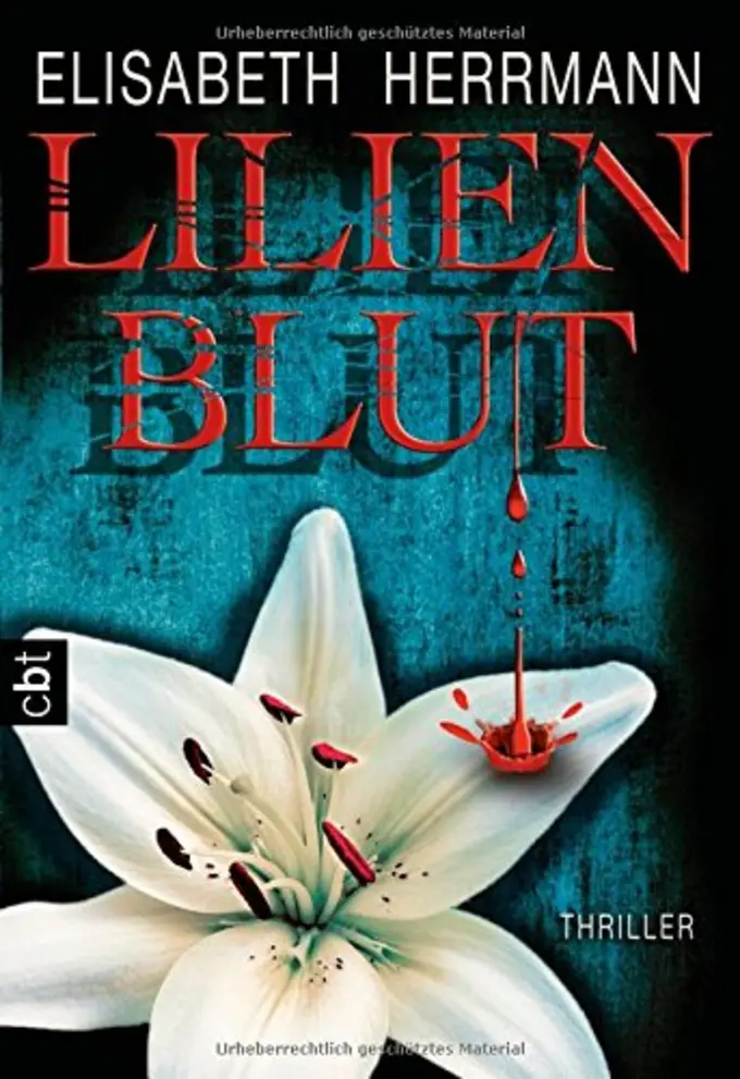 Thrillerbuch Bild 1