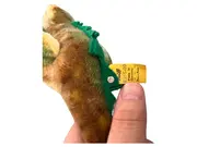 Vorschaubild 3 von Krokodil Kuscheltier Plüschtier Reptil Klassisch Mehrfarbig