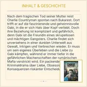 Vorschaubild 4 von Charlie Countryman DVD Krimi Shia LaBeouf Mads Mikkelsen Til Schweiger
