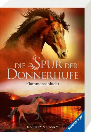 Buch für Jugendliche