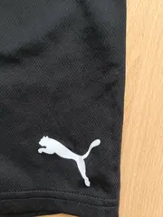 Vorschaubild 5 von Sport Shorts Kinder Gr. 164 Schwarz Polyester Sporthose