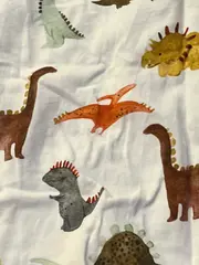 Vorschaubild 3 von Kinder T-Shirt Dinosaurier-Print Gr. 80 Mehrfarbig Baumwolle