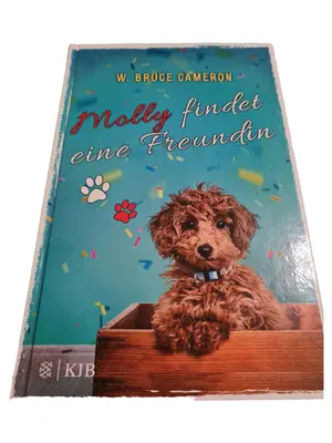 Buch für Jugendliche