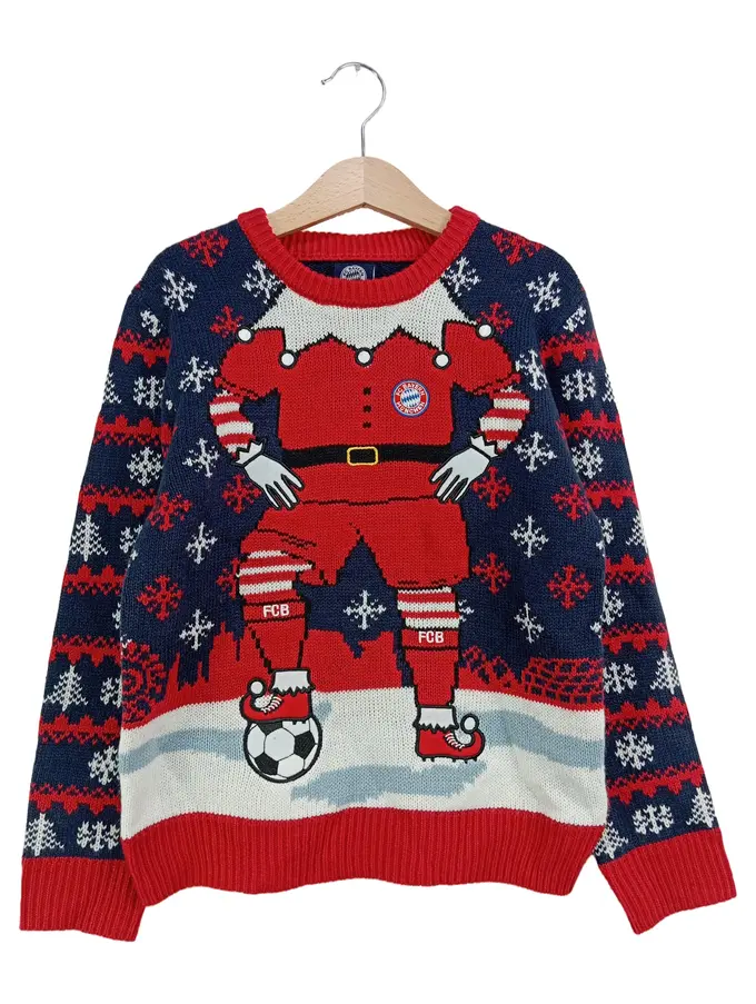 FC BAYERN MÜNCHEN Pullover Bild 1