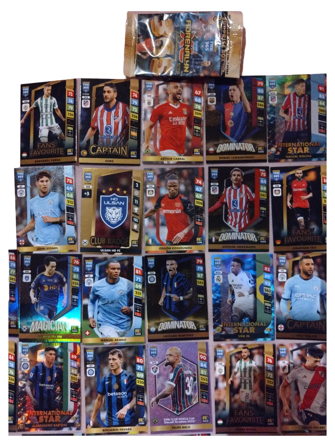 PANINI Adrenalyn XL Sammelkarten Fußball Set Kollektion