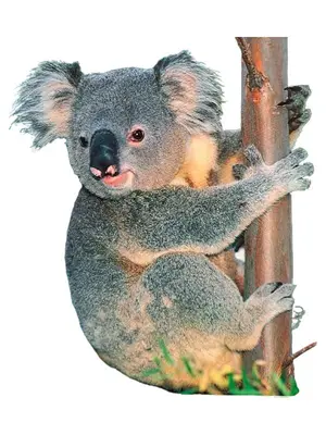 GRUNER + JAHR Zeitschrift