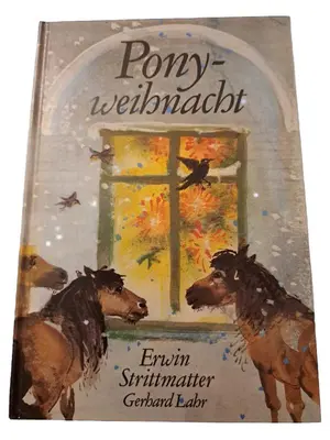 Weihnachtsbuch