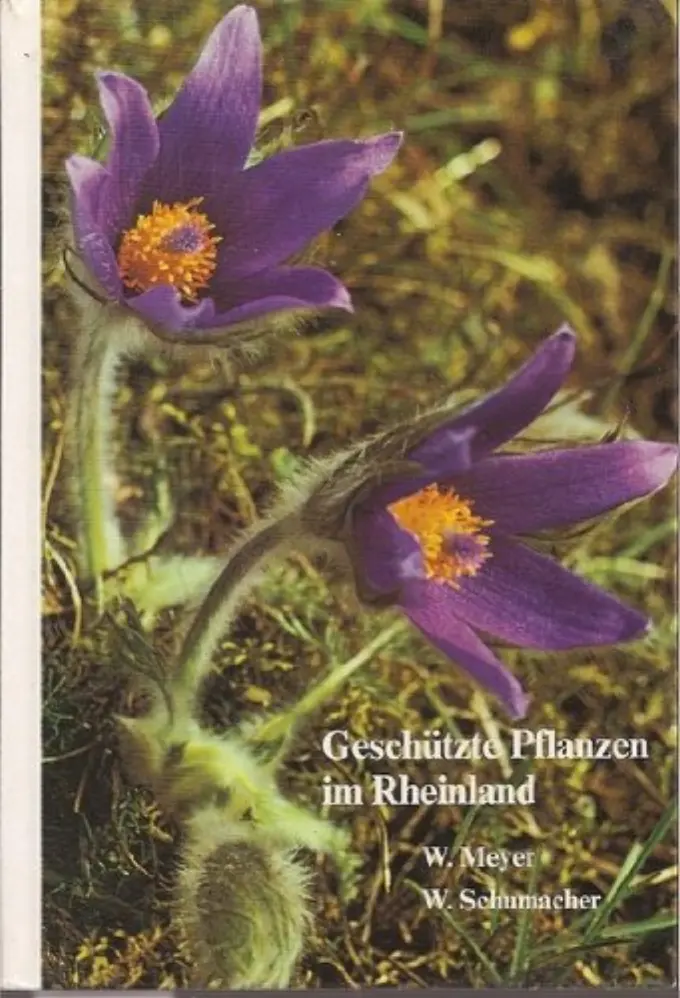 Allgemeines Sachbuch Bild 1