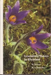 Vorschaubild Allgemeines Sachbuch 1