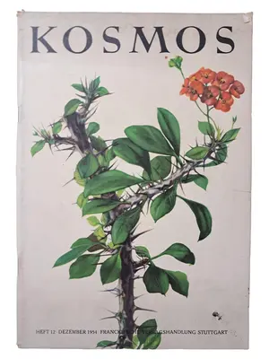 KOSMOS Zeitschrift