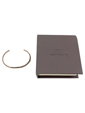 DANIEL WELLINGTON Armband