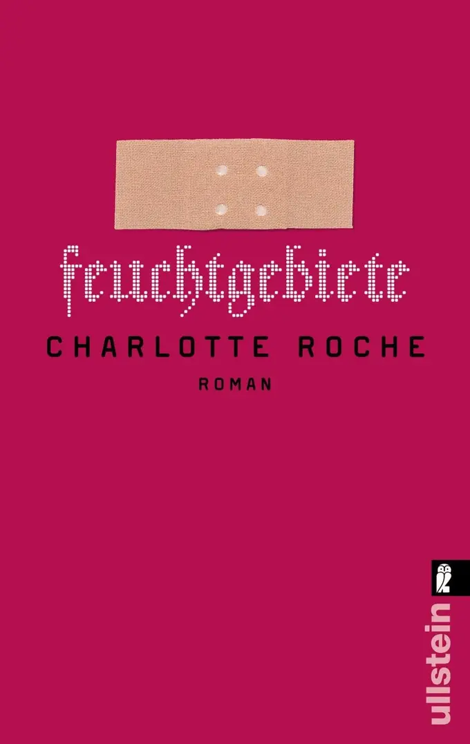 Gesellschaftsroman Bild 1