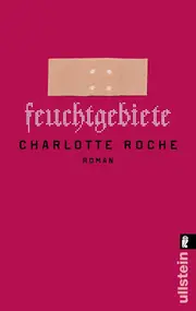 Vorschaubild Gesellschaftsroman 1