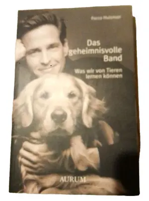 Allgemeines Sachbuch