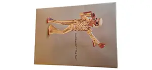 MULTITRONIC Fan Sammlerstück