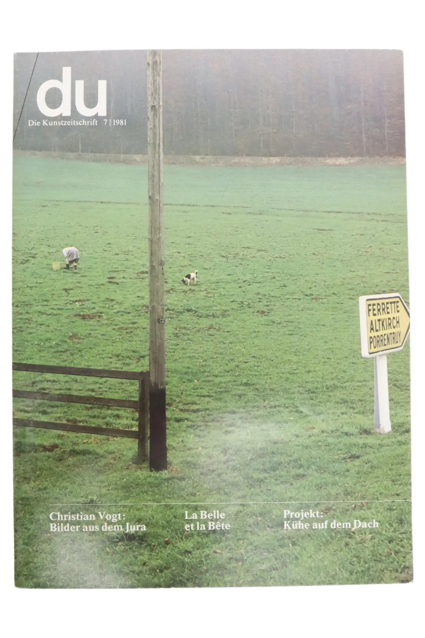 DU Die Kunstzeitschrift 07/1981 Vintage Magazin Kunst Natur Kultur