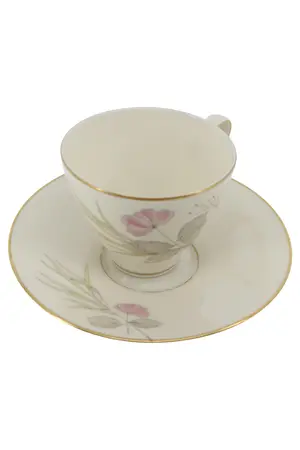 ROSENTHAL Tasse und Unterteller