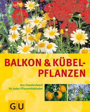 Hobbybuch