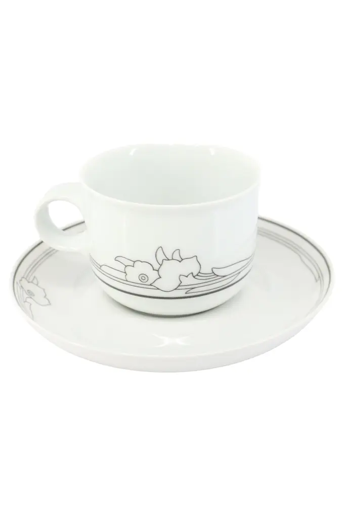 HUTSCHENREUTHER Tasse und Unterteller Bild 1