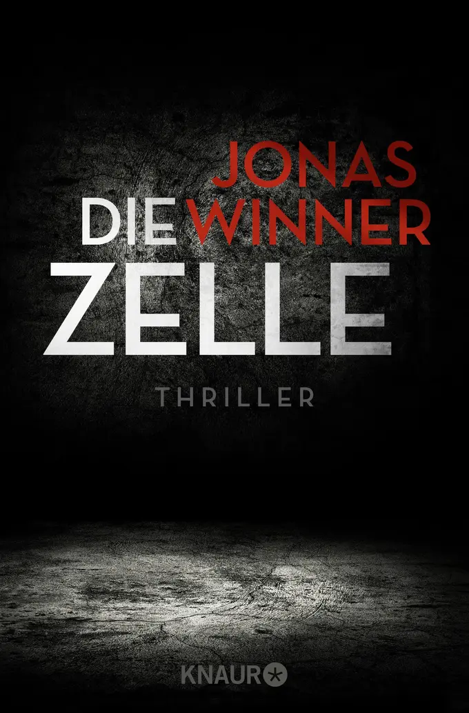 Thrillerbuch Bild 1