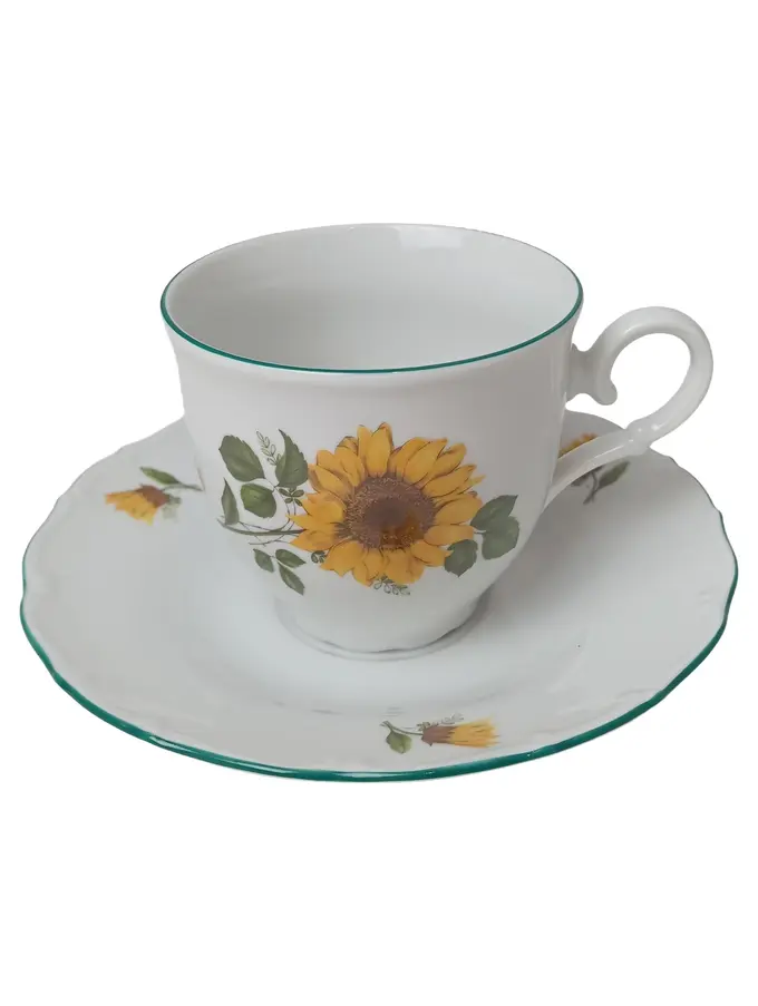 KARLSBADER Tasse und Unterteller Bild 1