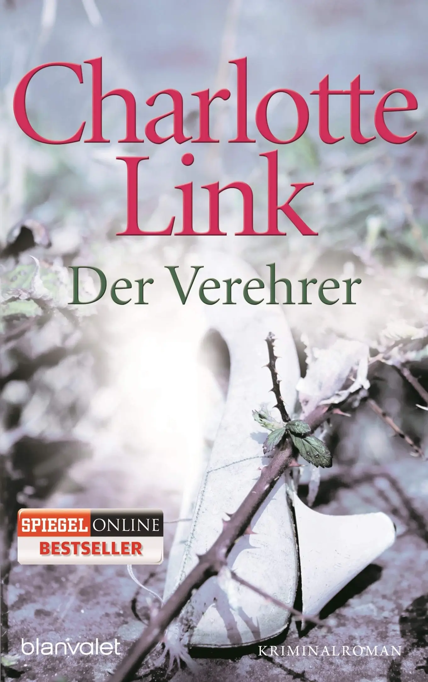 Der Verehrer von Charlotte Link Kriminalroman Taschenbuch Bestseller Deutsch