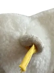 Vorschaubild 5 von Eisbär Kuscheltier Plüschtier Bär Weiß 19 cm Knopf im Ohr